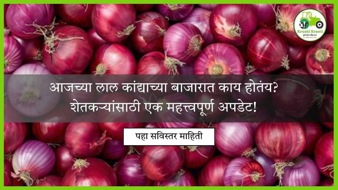 आजच्या लाल कांद्याच्या बाजारात काय होतंय.? शेतकऱ्यांसाठी एक महत्त्वपूर्ण अपडेट..!