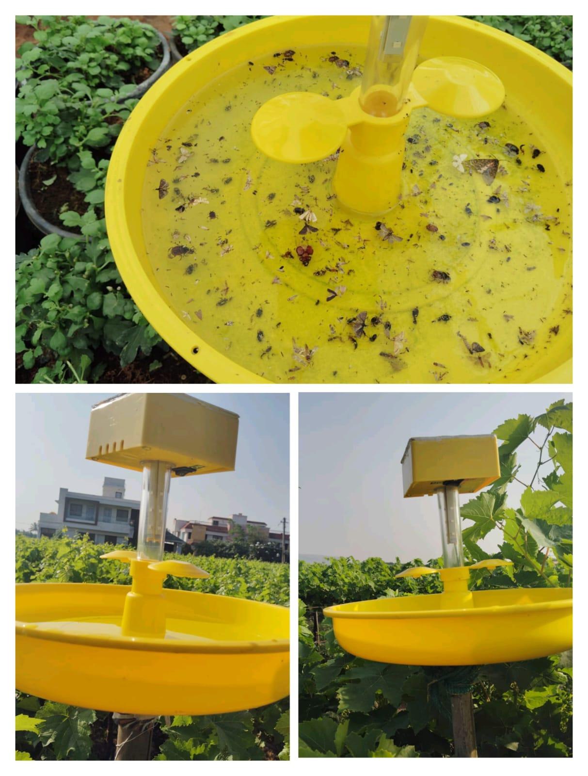 मिनी सौर ऊर्जा ट्रॅप (Mini Solar Energy Trap) उपलब्ध